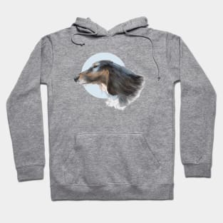 Dachshund Watercolor Illustration Hoodie